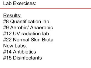 Lab Exercises: Results: #8 Quantification lab #9 Aerobic/ Anaerobic