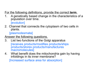 term 1. A genetically based change in the characteristics of a