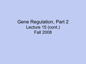 Gene Regulation, Part 2 Lecture 15 (cont.) Fall 2008