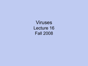 Viruses Lecture 16 Fall 2008