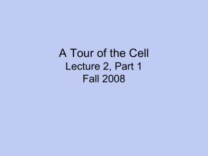 A Tour of the Cell Lecture 2, Part 1 Fall 2008