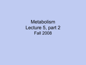 Metabolism Lecture 5, part 2 Fall 2008