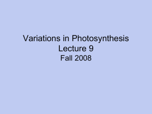 Variations in Photosynthesis Lecture 9 Fall 2008