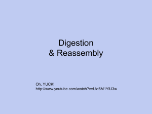 Digestion &amp; Reassembly Oh, YUCK!