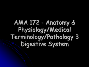 AMA 172 - Anatomy &amp; Physiology/Medical Terminology/Pathology 3 Digestive System