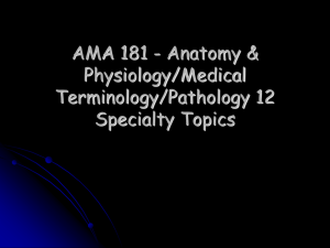 AMA 181 - Anatomy &amp; Physiology/Medical Terminology/Pathology 12 Specialty Topics