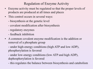 Regulation of Enzyme Activity
