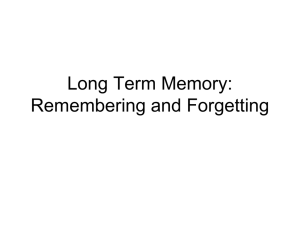 Long Term Memory: Remembering and Forgetting