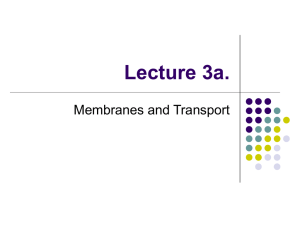 Lecture 3a. Membranes and Transport