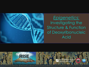 Epigenetics: Investigating the Structure &amp; Function of Deoxyribonucleic