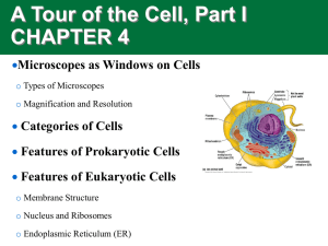 A Tour of the Cell, Part I CHAPTER 4
