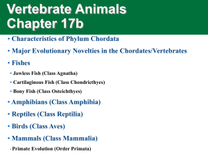 Vertebrate Animals Chapter 17b