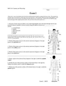 Exam I BIOS 160  Anatomy and Physiology  Name