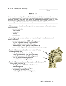 Exam IV BIOS 160    Anatomy and Physiology Name