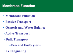 Membrane Function • Bulk Transport Cell Signaling
