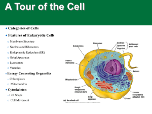 A Tour of the Cell  Categories of Cells Features of Eukaryotic Cells