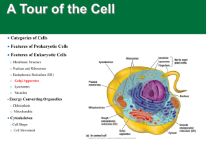 A Tour of the Cell  Categories of Cells Features of Prokaryotic Cells