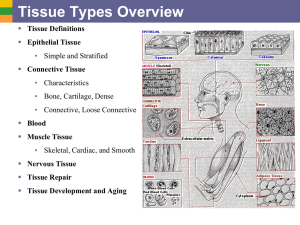 Tissue Types Overview