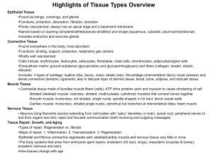Highlights of Tissue Types Overview