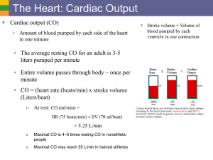 The Heart: Cardiac Output
