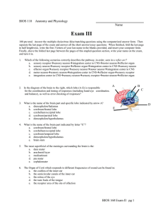 Exam III BIOS 118    Anatomy and Physiology Name