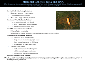 Microbial Genetics: DNA and RNA