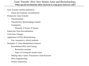Gene Transfer: How New Strains Arise and Biotechnology