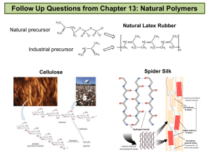 Follow Up Questions from Chapter 13: Natural Polymers Natural Latex Rubber Cellulose