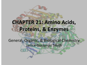 CHAPTER 21: Amino Acids, Proteins, &amp; Enzymes General, Organic, &amp; Biological Chemistry