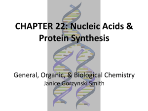 CHAPTER 22: Nucleic Acids &amp; Protein Synthesis General, Organic, &amp; Biological Chemistry