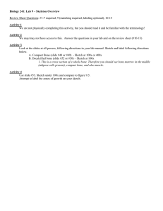 Biology 241: Lab 9 – Skeleton Overview Activity 1