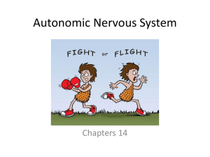 Autonomic Nervous System Chapters 14