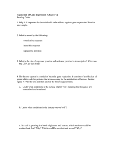 Regulation of Gene Expression (Chapter 7) Reading Guide