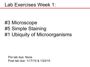 Lab Exercises Week 1: #3 Microscope #5 Simple Staining #1 Ubiquity of Microorganisms