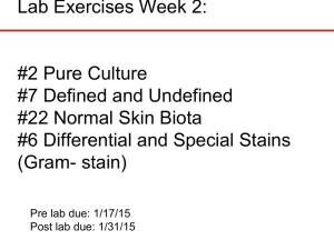 Lab Exercises Week 2: #2 Pure Culture #7 Defined and Undefined