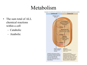 Metabolism • The sum total of ALL chemical reactions within a cell