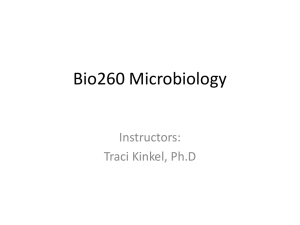 Bio260 Microbiology Instructors: Traci Kinkel, Ph.D