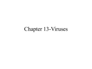 Chapter 13-Viruses