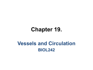 Chapter 19. Vessels and Circulation BIOL242