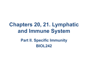 Chapters 20, 21. Lymphatic and Immune System Part II. Specific Immunity BIOL242