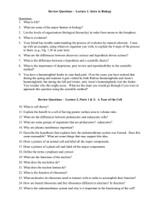 Review Questions -  Lecture 1: Intro to Biology  Questions: