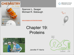 Chapter 19: Proteins Spencer L. Seager Michael R. Slabaugh
