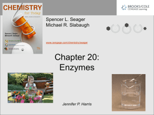 Chapter 20: Enzymes Spencer L. Seager Michael R. Slabaugh