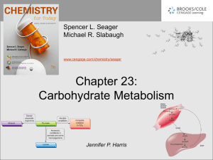 Chapter 23: Carbohydrate Metabolism Spencer L. Seager Michael R. Slabaugh
