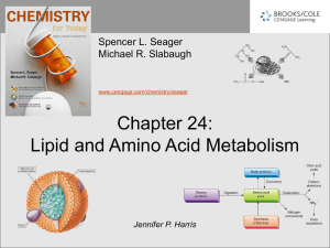 Chapter 24: Lipid and Amino Acid Metabolism Spencer L. Seager Michael R. Slabaugh