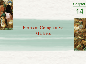 14 Firms in Competitive Markets Chapter