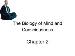 Chapter 2 The Biology of Mind and Consciousness