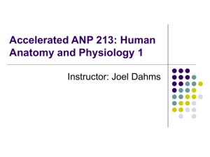 Accelerated ANP 213: Human Anatomy and Physiology 1 Instructor: Joel Dahms