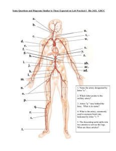 Some Questions and Diagrams Similar to Those Expected on Lab... 1. Name the artery designated by letter &#34;a.&#34;.