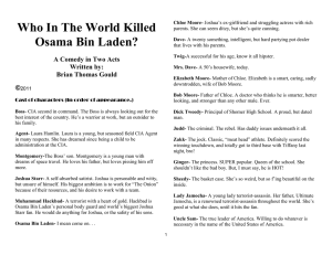 Who In The World Killed Osama Bin Laden?